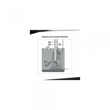 Bomba Submersível Schneider Limpeza Caixa 1/2cv Lup-05 220v Preto